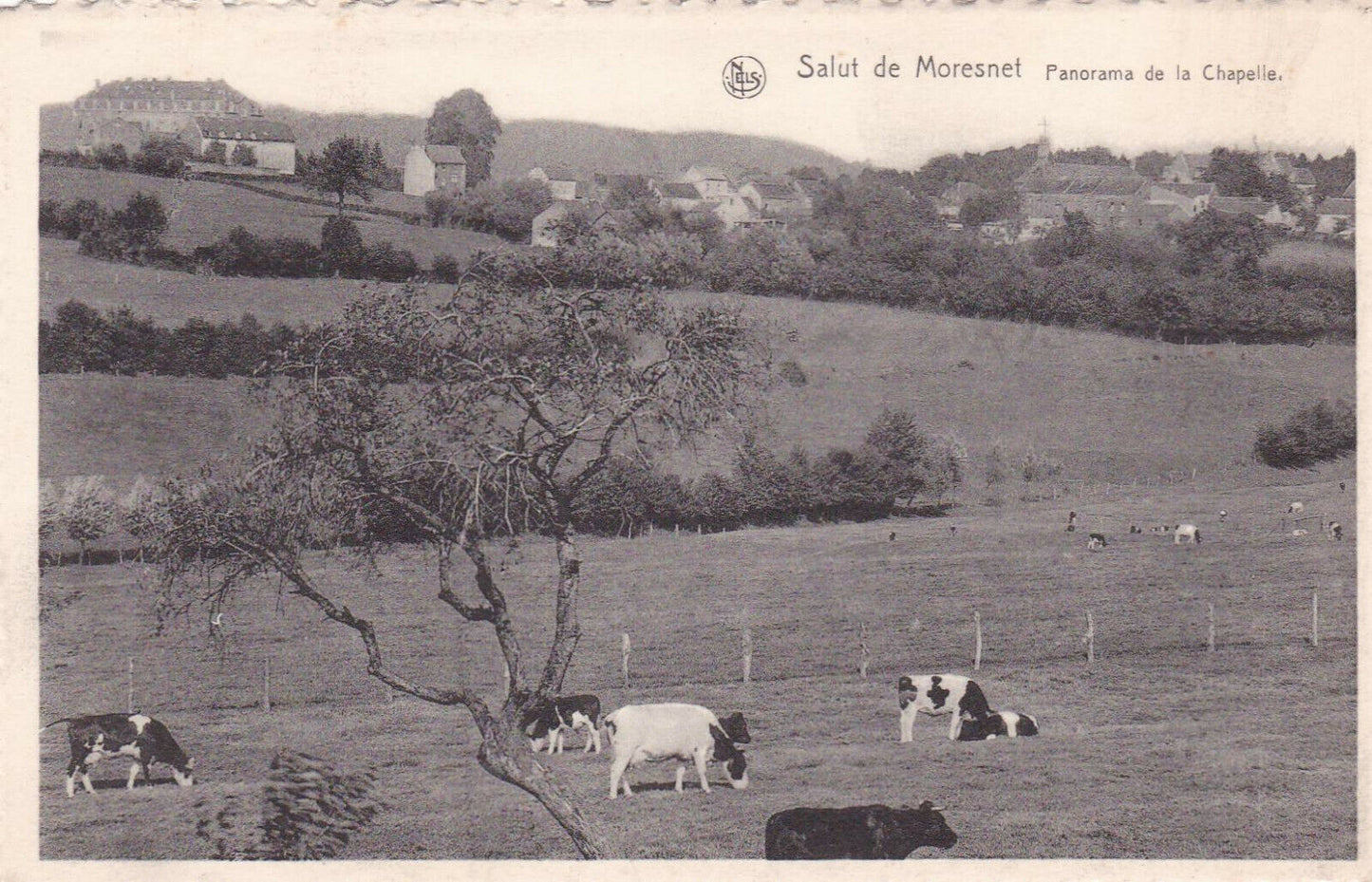 CARTE POSTALE ANCIENNE CPA / BELGIQUE SALUT DE MORESNET PANORAMA DE LA CHAPELLE