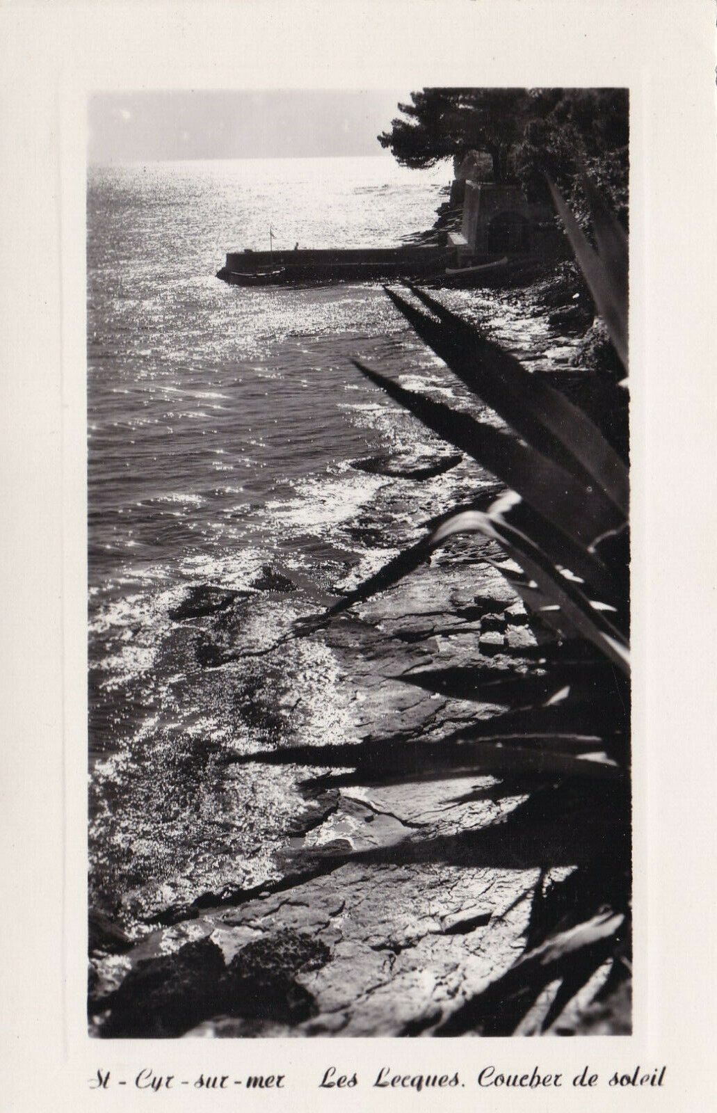 CARTE POSTALE CPSM NOIR & BLANC / ST-CYR-SUR-MER LES LECQUES COUCHER DE SOLEIL
