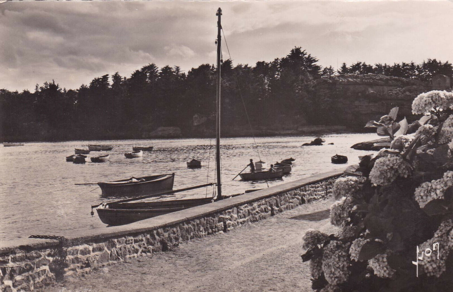 CARTE POSTALE CPSM NOIR & BLANC / PLOUMANAC'H LE PORT