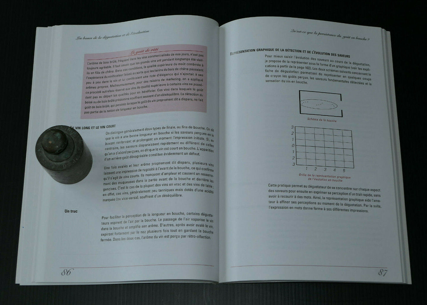 LA DEGUSTATION ET L'EVALUATION DU VIN / PIERRE RAJOTTE / GUIDE OENOLOGIE / 2006