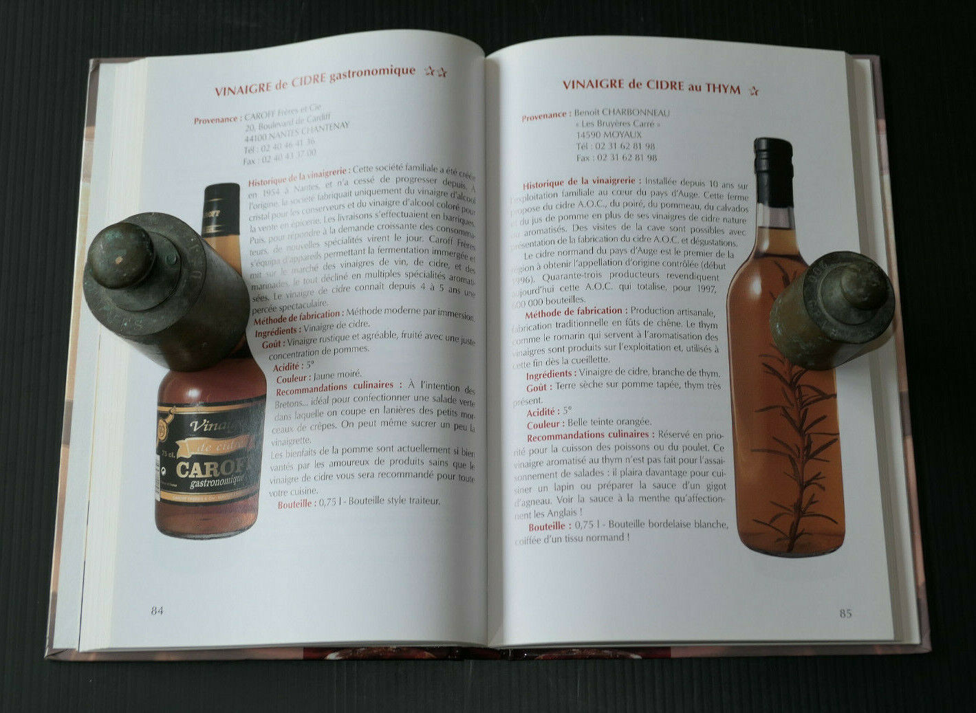 VINAIGRE LE GUIDE / CAROLINE LEFEBVRE / HERME 1999