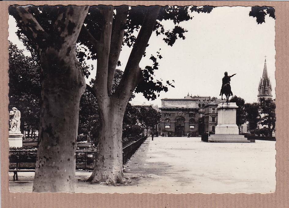 CARTE POSTALE CPSM NOIR & BLANC / MONTPELLIER PROMENADE DU PEYRON (1945)