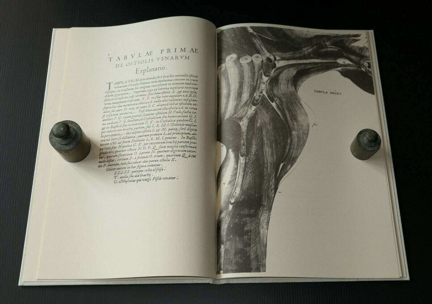 DES VALVULES DES VEINES / DE VENARUM OSTIOLIS / ANATOMIE / LOUIS PARIENTE 1981