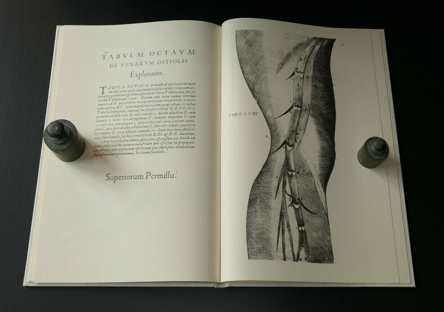DES VALVULES DES VEINES / DE VENARUM OSTIOLIS / ANATOMIE / LOUIS PARIENTE 1981