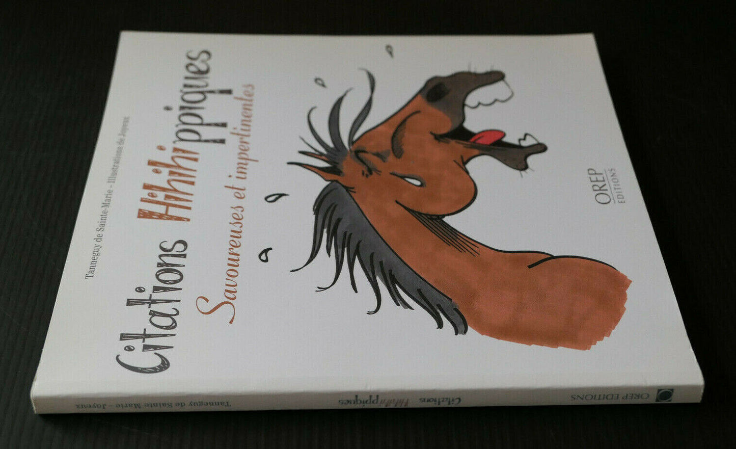 CITATIONS HIHIHIPPIQUES SAVOUREUSES ET IMPERTINENTES / HIPPISME EQUITATION 2015