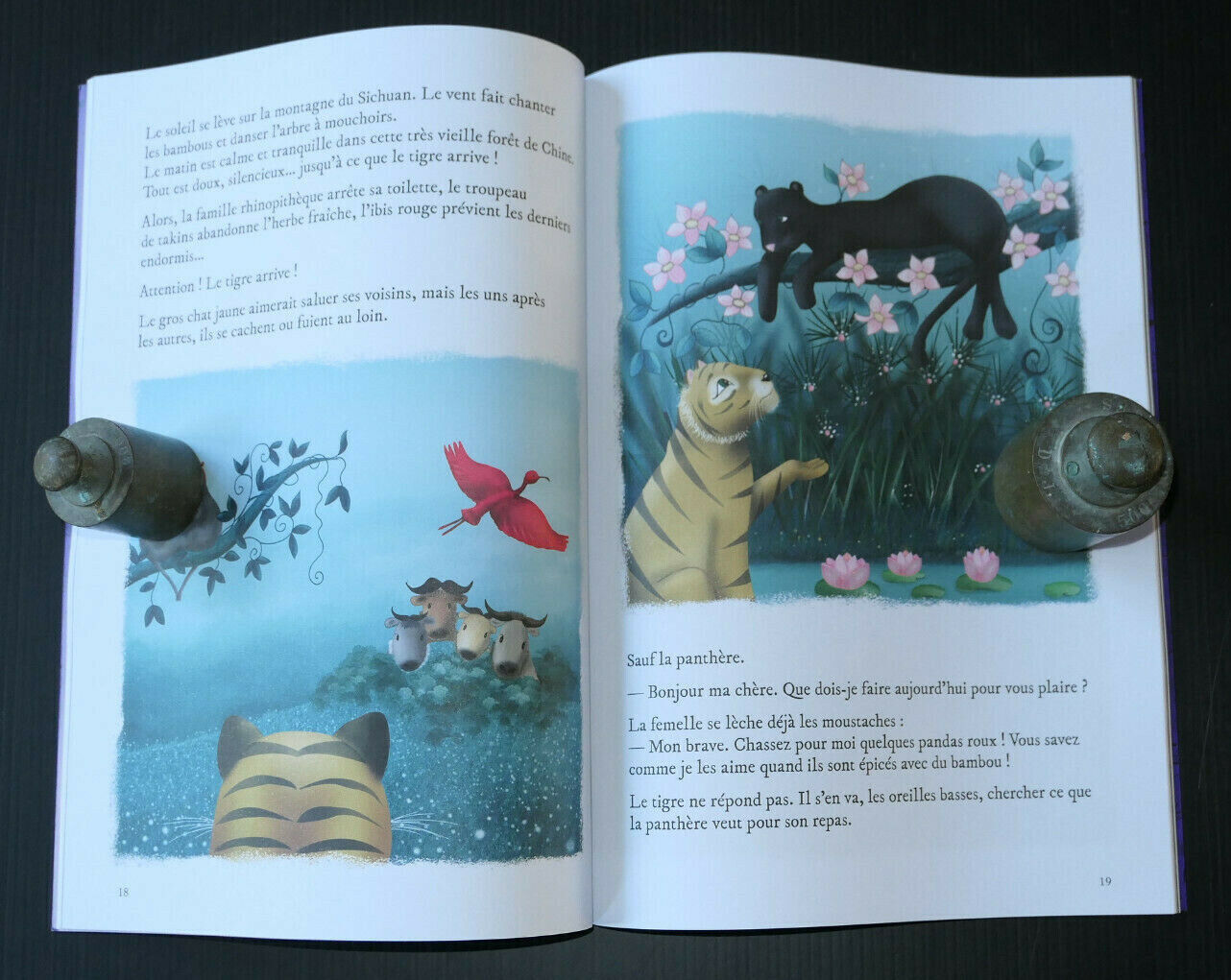 PLANETE SAUVAGE / 3 CONTES / PASSAGE(S) JEUNESSE 2018