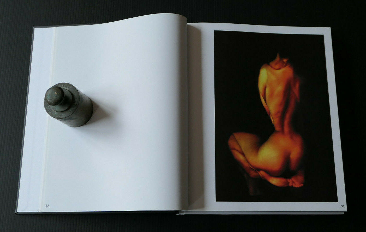 ANTHOLOGIE DE LA PHOTO DE NU DE DANI OLIVIER / PHOTOGRAPHIE ART / 2012