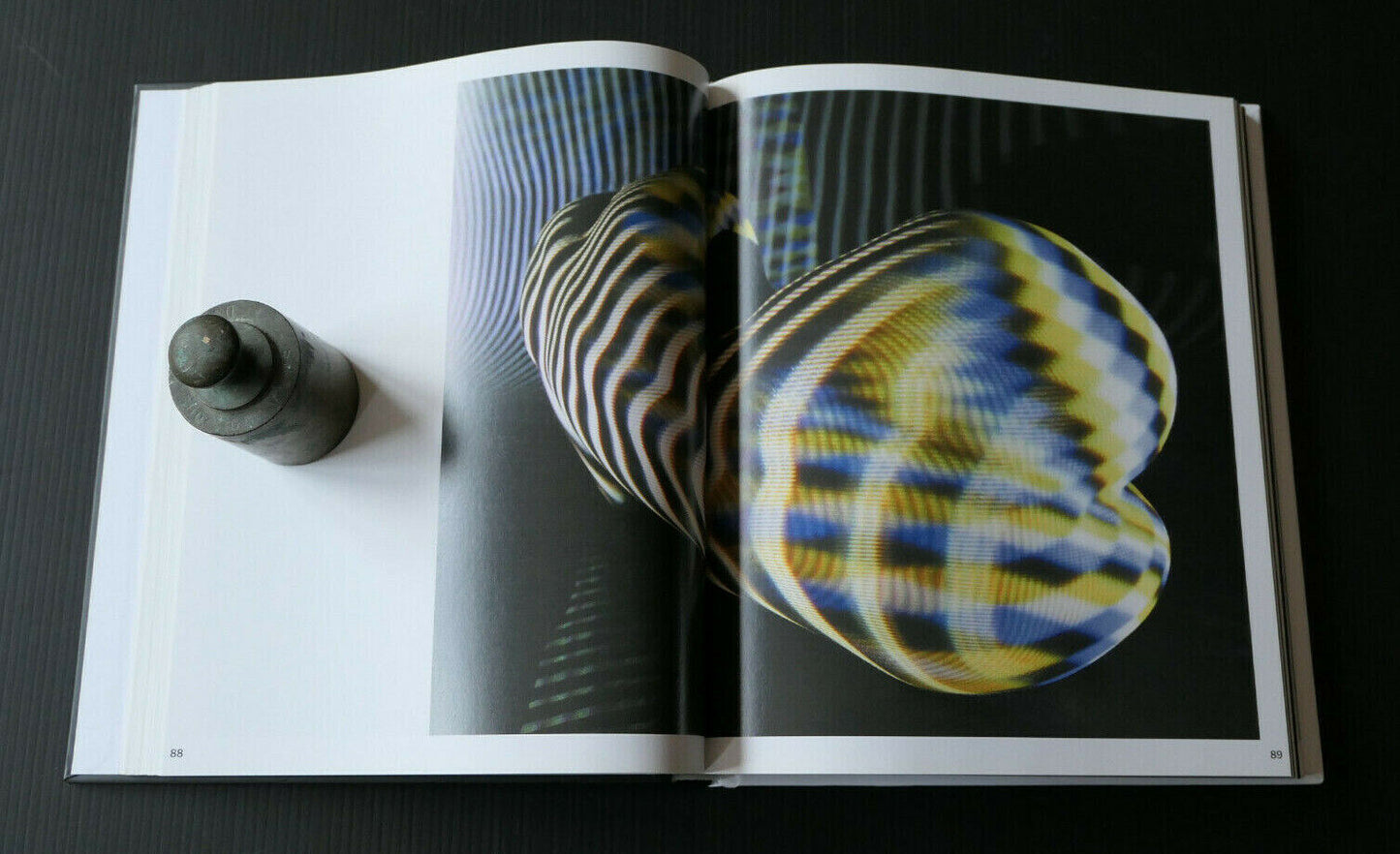 ANTHOLOGIE DE LA PHOTO DE NU DE DANI OLIVIER / PHOTOGRAPHIE ART / 2012