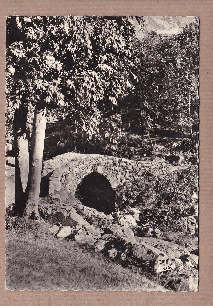 CARTE POSTALE CPSM NOIR & BLANC / HEAS LE VIEUX PONT SUR L'AGUILA (1962)
