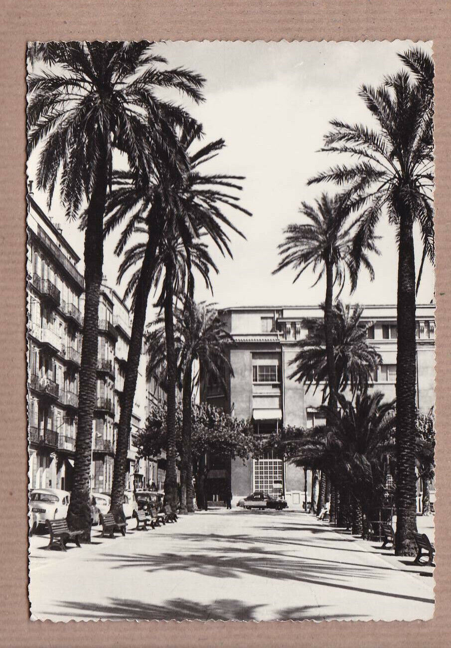 CPSM BLACK & WHITE POSTCARD / TOULON PLACE DE LA LIBERTE
