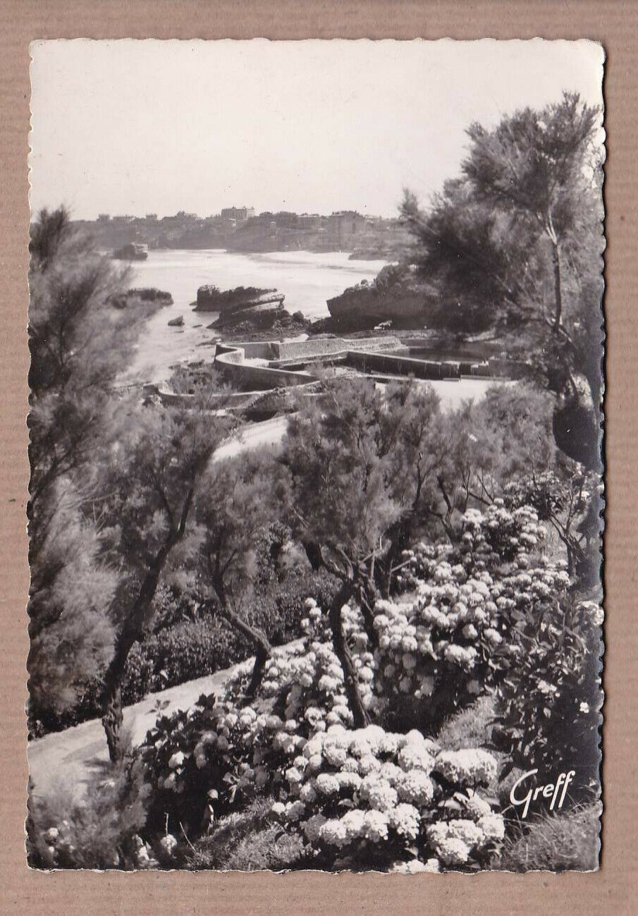 CPSM BLACK & WHITE POSTCARD / BIARRITZ THE FISHERMEN'S PORT HYDRANGEAS
