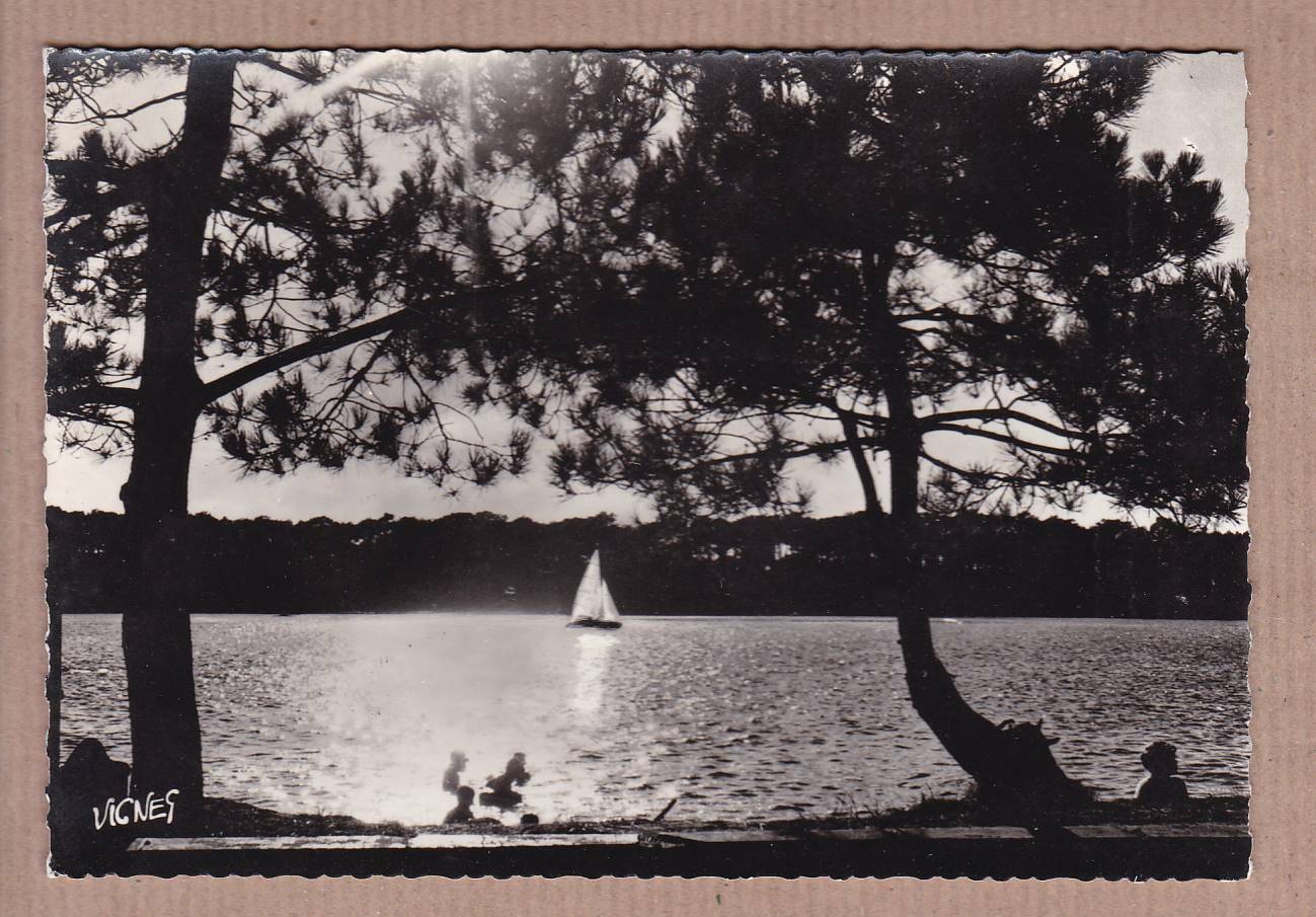 CARTE POSTALE CPSM NOIR & BLANC / VISAGE DES LANDES LE SOIR SUR UN LAC