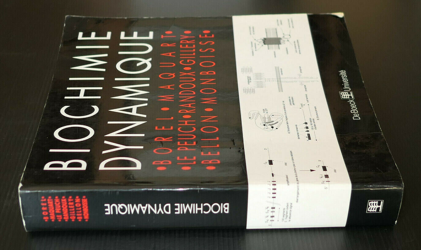 BIOCHIMIE DYNAMIQUE / COLLECTIF / DE BOECK UNIVERSITE 1997 / SCIENCE BIOLOGIE