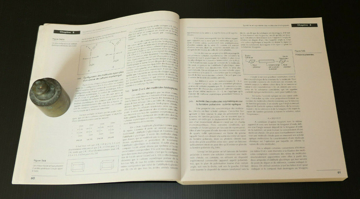 BIOCHIMIE DYNAMIQUE / COLLECTIF / DE BOECK UNIVERSITE 1997 / SCIENCE BIOLOGIE