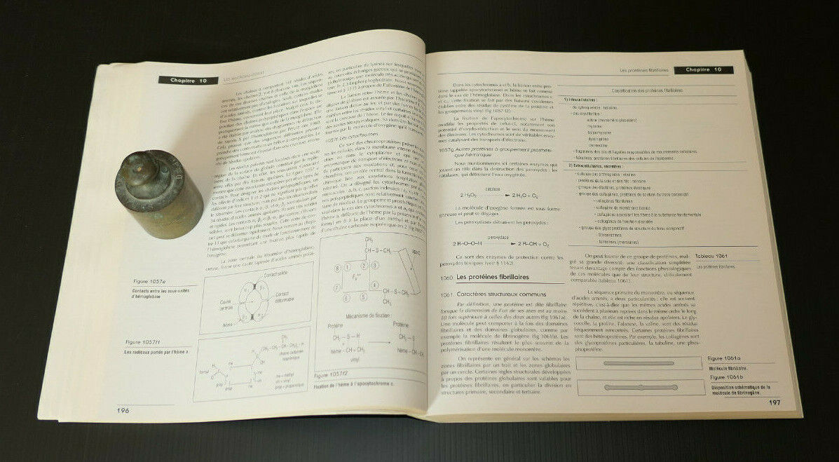BIOCHIMIE DYNAMIQUE / COLLECTIF / DE BOECK UNIVERSITE 1997 / SCIENCE BIOLOGIE
