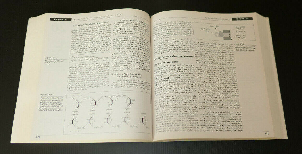 BIOCHIMIE DYNAMIQUE / COLLECTIF / DE BOECK UNIVERSITE 1997 / SCIENCE BIOLOGIE