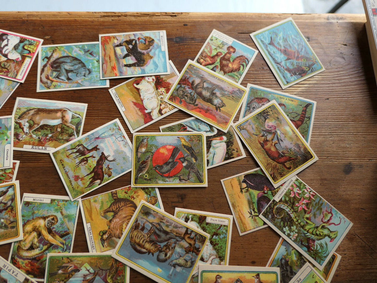 ANCIENNE IMAGE D'ECOLE SCOLAIRE LIBRAIRIE DELAGRAVE ANIMAUX LOT BOITE 96 CHROMOS