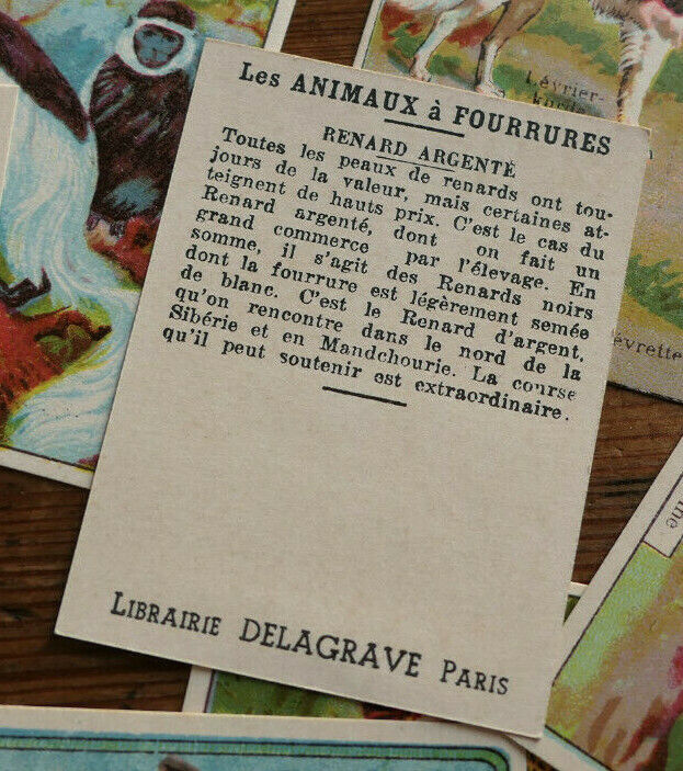 ANCIENNE IMAGE D'ECOLE SCOLAIRE LIBRAIRIE DELAGRAVE ANIMAUX LOT BOITE 96 CHROMOS