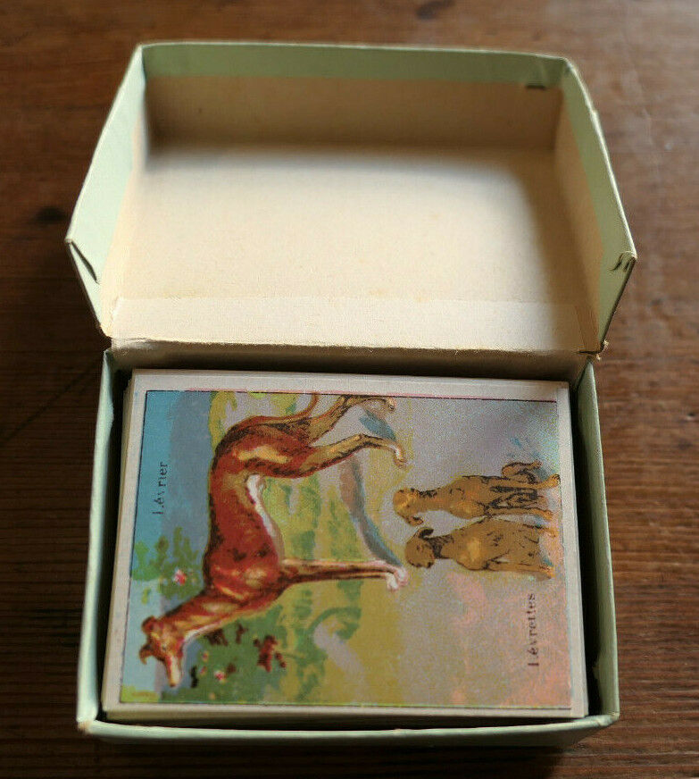 ANCIENNE IMAGE D'ECOLE SCOLAIRE LIBRAIRIE DELAGRAVE ANIMAUX LOT BOITE 96 CHROMOS