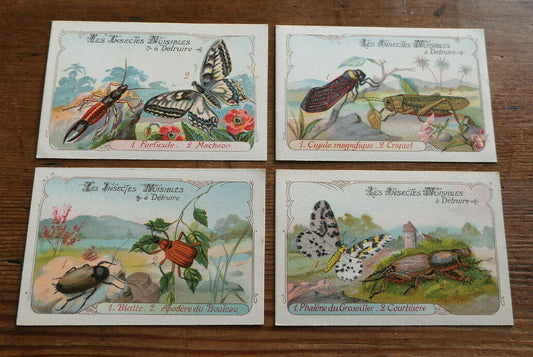 LOT DE 4 ANCIENNES IMAGES CHROMOS INSECTES NUISIBLES A DETRUIRE ENTOMOLOGIE