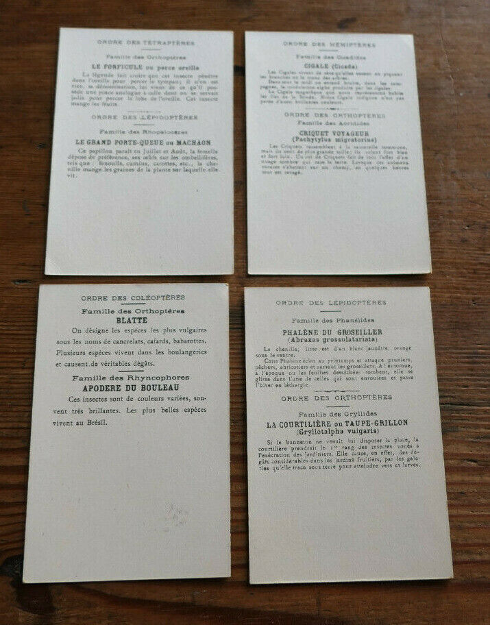 LOT DE 4 ANCIENNES IMAGES CHROMOS INSECTES NUISIBLES A DETRUIRE ENTOMOLOGIE
