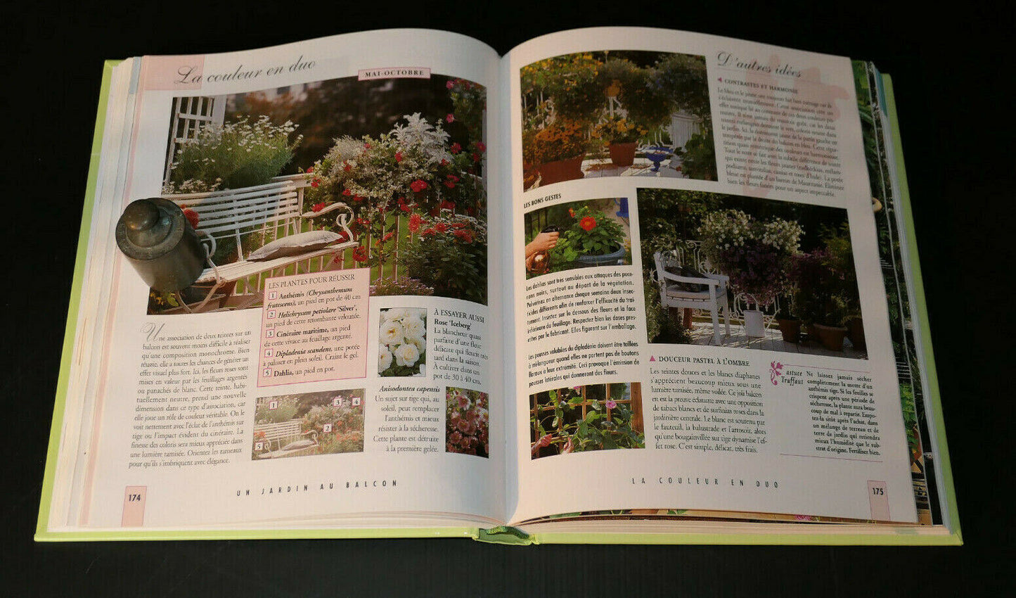 BALCONS FENETRES ET TERRASSES JARDINIERES FLEURS / ENCYCLOPEDIE TRUFFAUT 1998