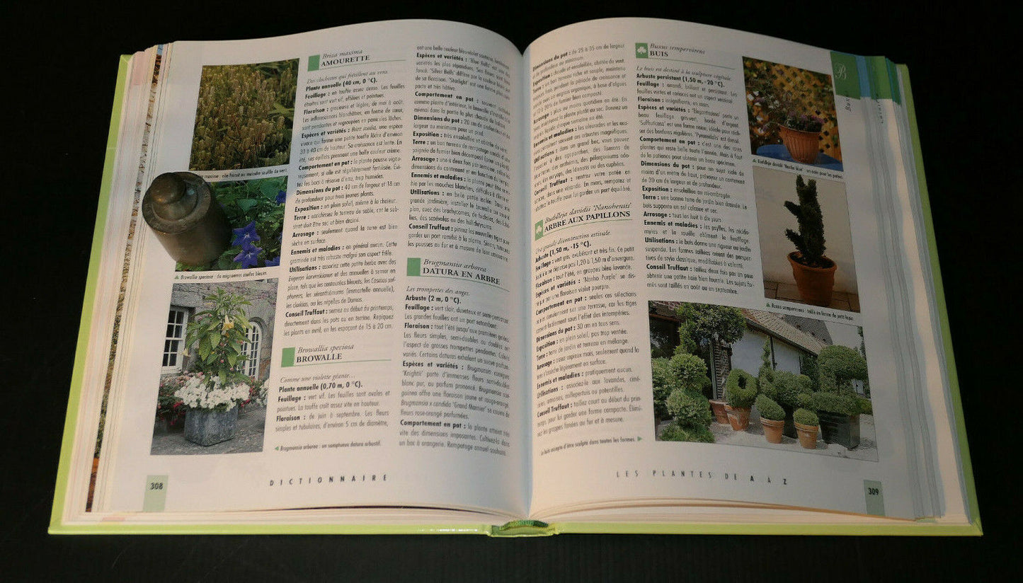 BALCONS FENETRES ET TERRASSES JARDINIERES FLEURS / ENCYCLOPEDIE TRUFFAUT 1998