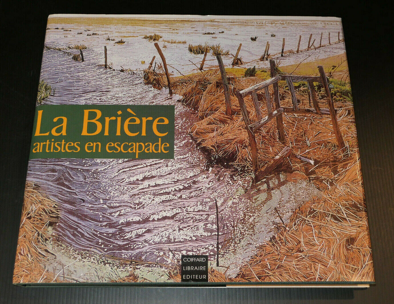 LA BRIERE ARTISTES EN ESCAPADE / PARC NATUREL REGIONAL NATURE ART PEINTURE 2002