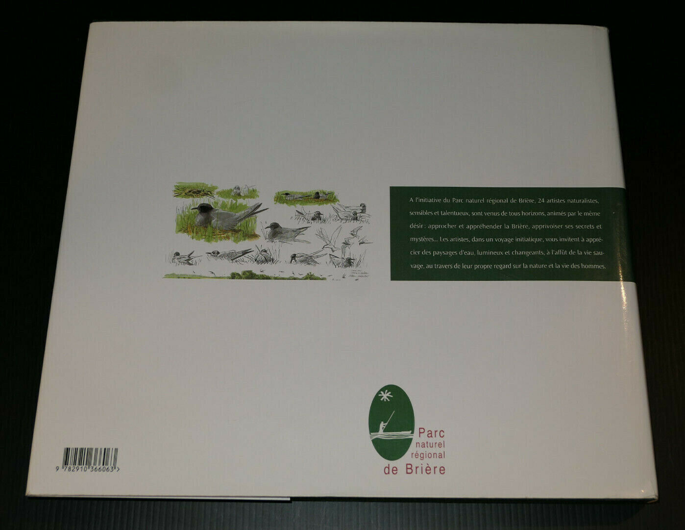 LA BRIERE ARTISTES EN ESCAPADE / PARC NATUREL REGIONAL NATURE ART PEINTURE 2002