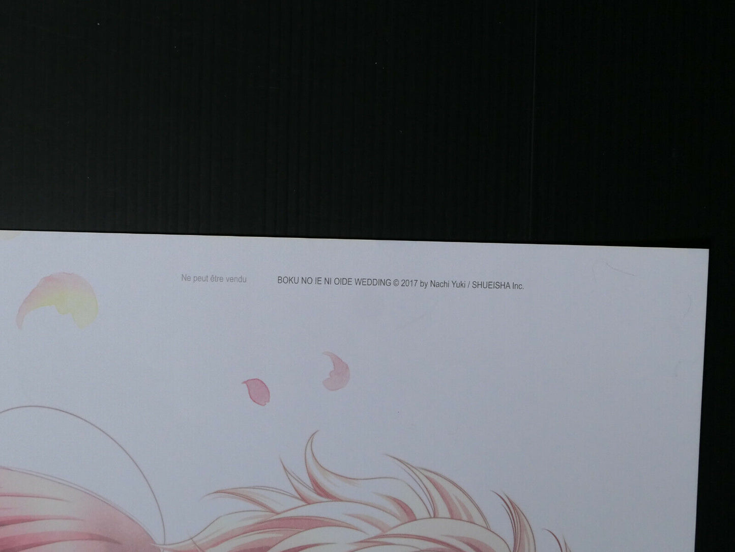 AFFICHE POSTER PROMO MANGA BE TWIN YOU & ME / COME TO ME WEDDING / 2017