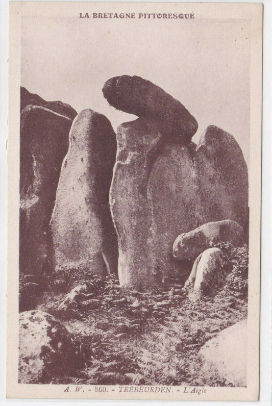 CARTE POSTALE ANCIENNE NOIR ET BLANC CPA TREBEURDEN L'AIGLE