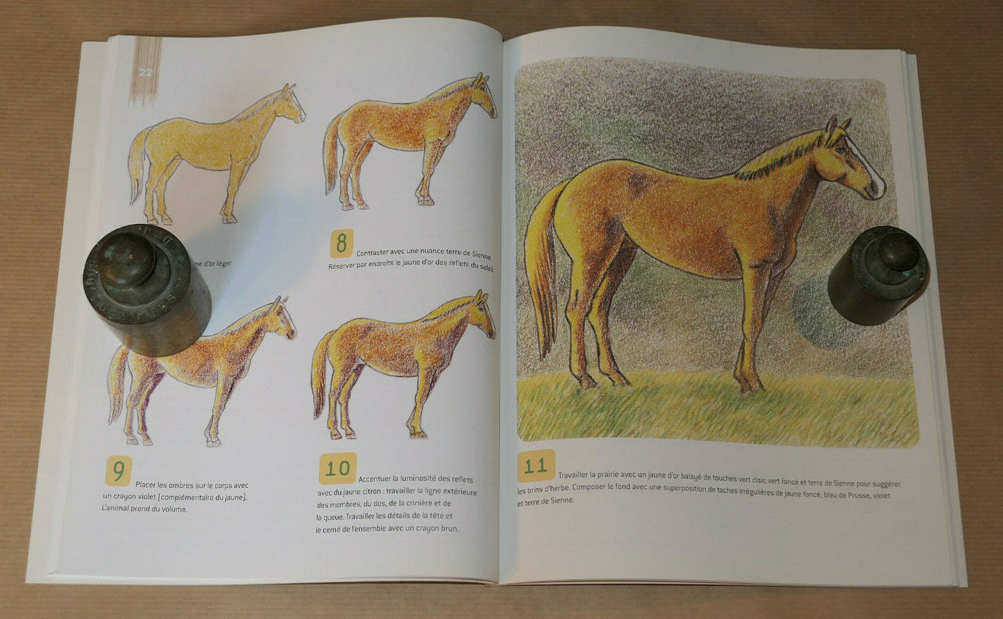 DESSINER LES CHEVAUX / PHILIPPE LEGENDRE / FLEURUS 2010 / DESSIN ART MANUEL
