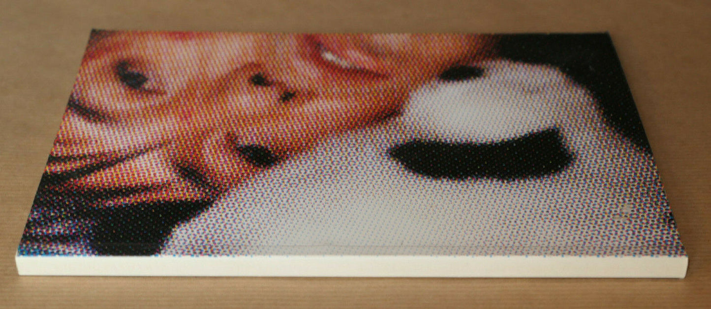 ZHAO BANDI / UH-OH ! PANDAMAN / 2004