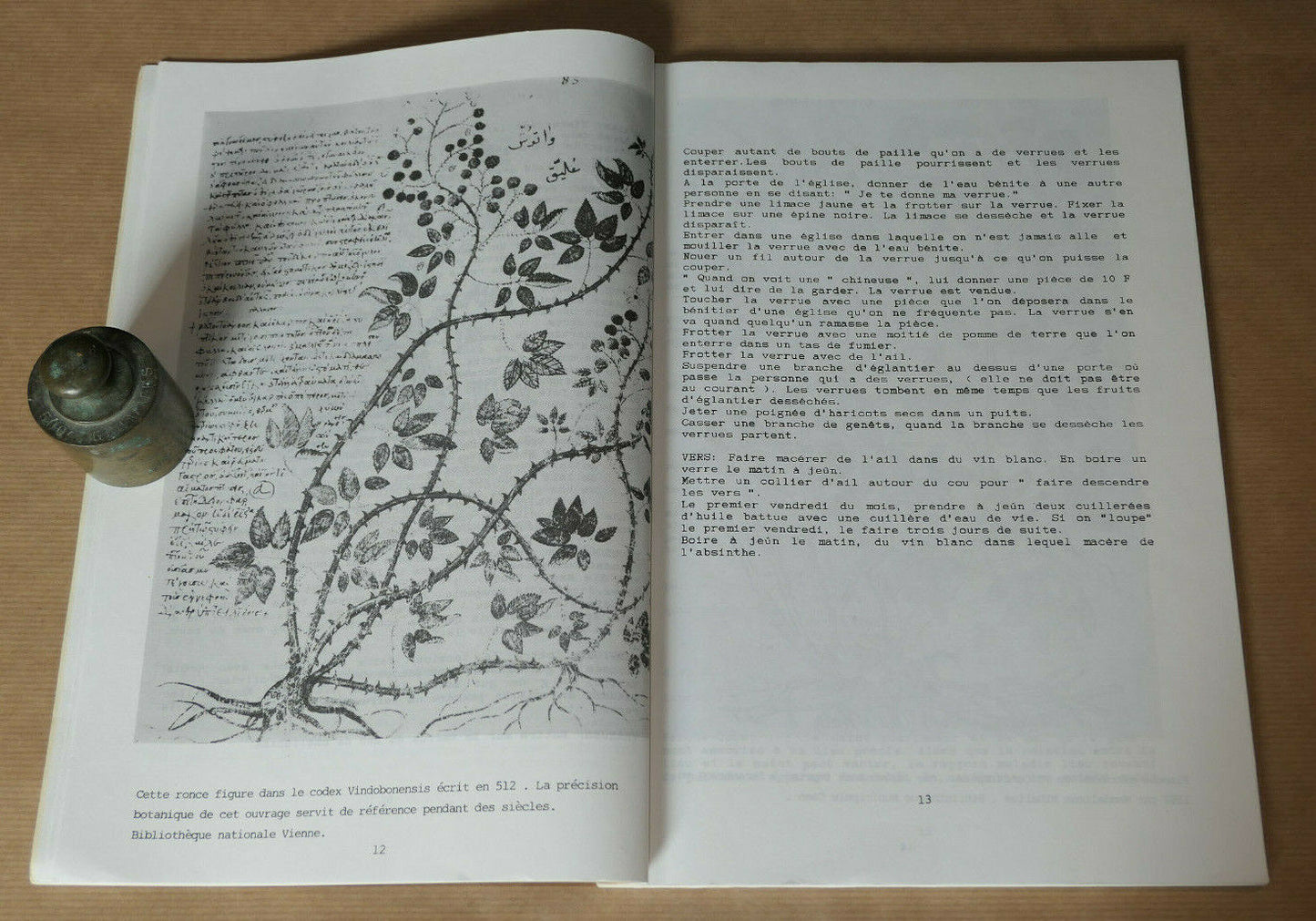 L'ART DE SOIGNER EN PAYS D'AUGE CATALOGUE EXPOSITION 1988 CALVADOS HISTOIRE