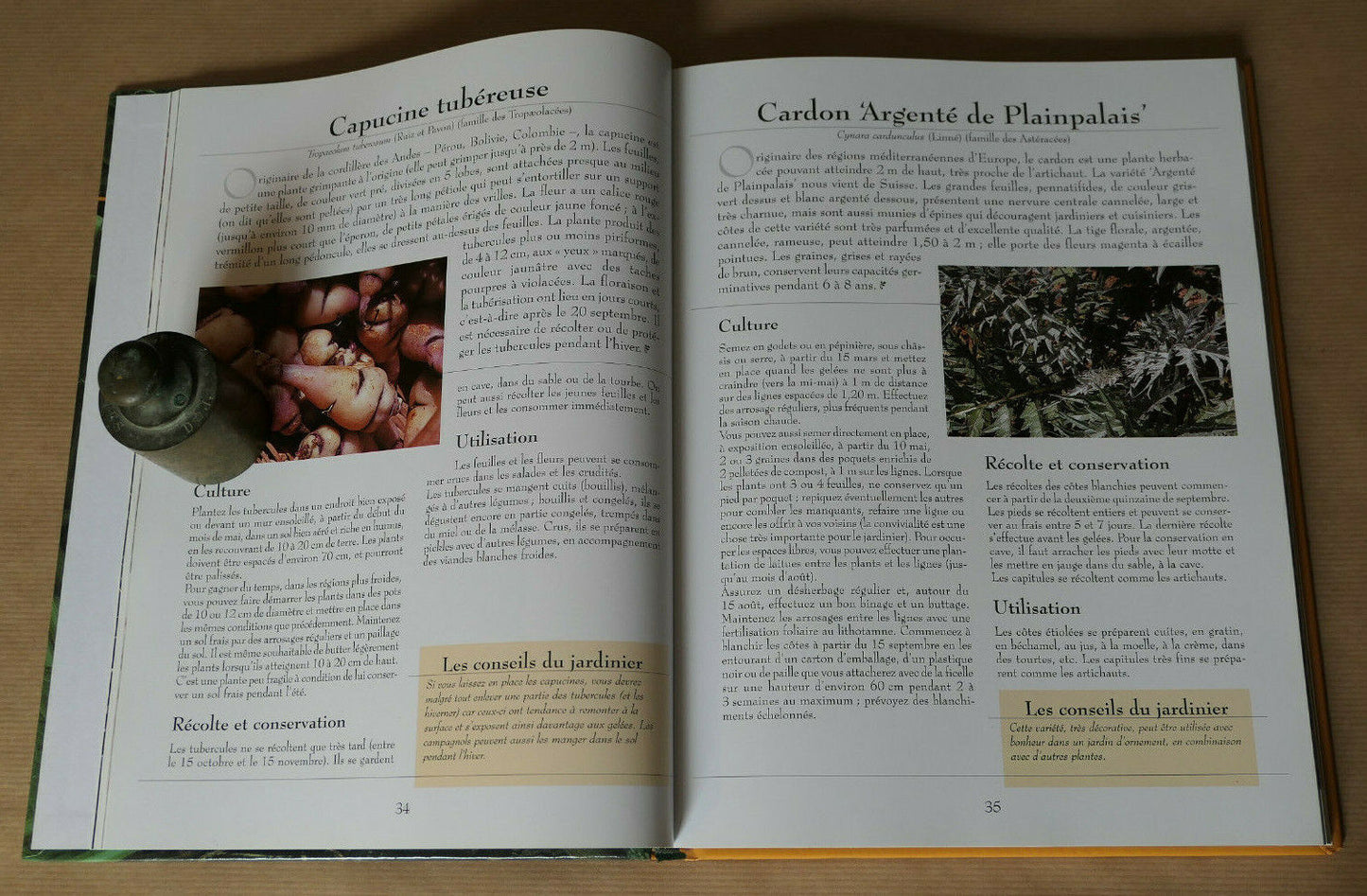LE GRAND LIVRE DES LEGUMES OUBLIES / RUSTICA EDITIONS 2006 / CULTURE POTAGER