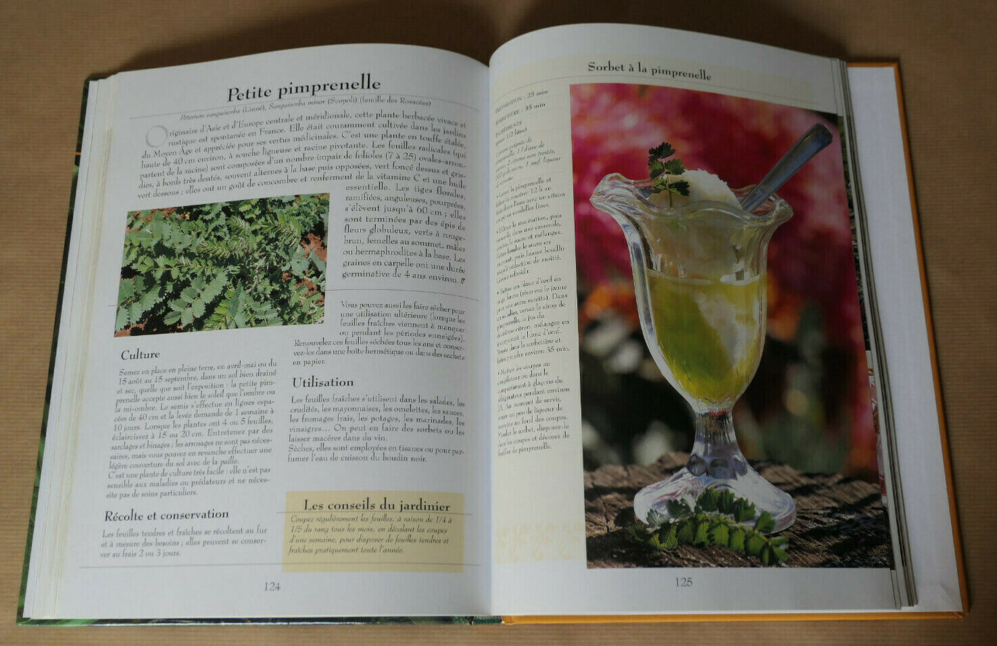 LE GRAND LIVRE DES LEGUMES OUBLIES / RUSTICA EDITIONS 2006 / CULTURE POTAGER