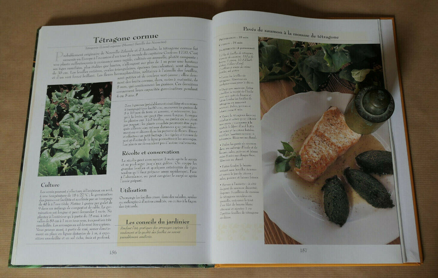 LE GRAND LIVRE DES LEGUMES OUBLIES / RUSTICA EDITIONS 2006 / CULTURE POTAGER