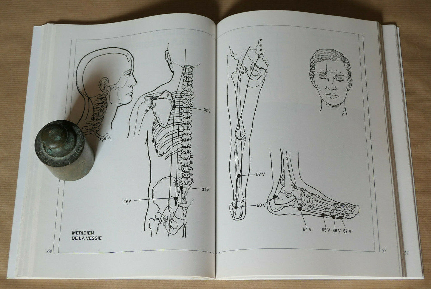 COURS DE DIGITOPRESSION / ANATOMIE PHOTOS THERAPIE SANTE / DE VECCHI 1997
