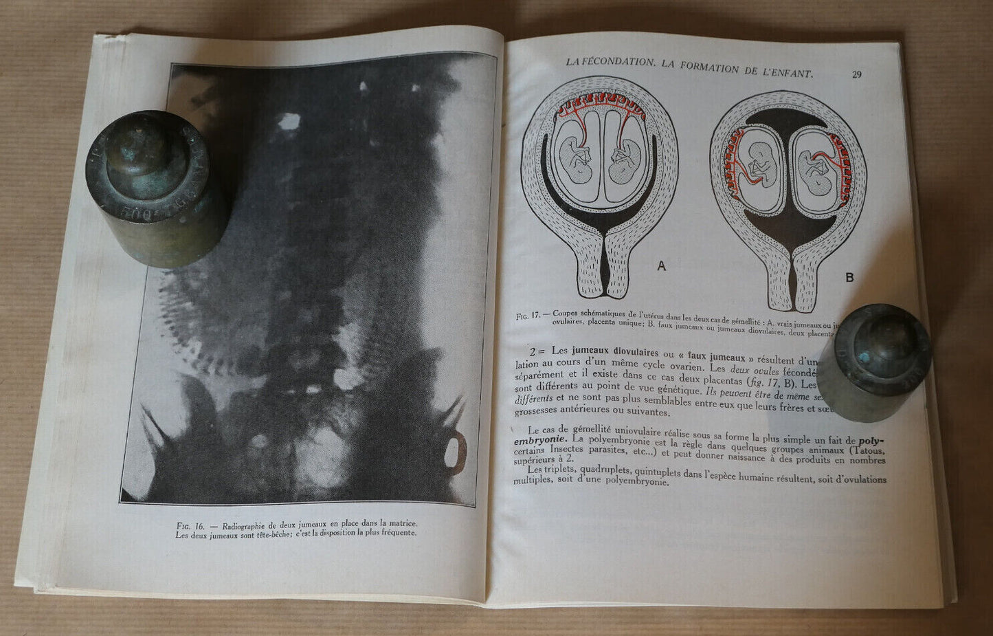 PHYSIOLOGIE DE LA REPRODUCTION ET PUERICULTURE / HACHETTE 1965 / SANTE MATERNITE