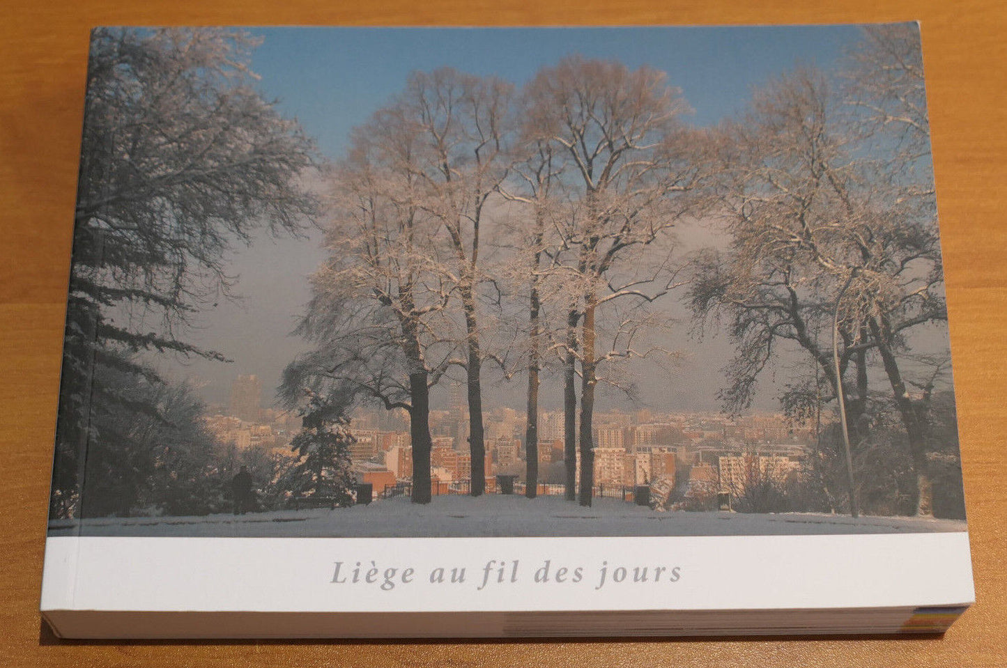 LIEGE AU FIL DES JOURS / ANNICK LELIEVRE / CALENDRIER PHOTOS BELGIQUE 2018