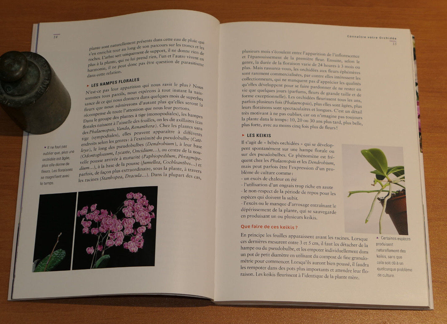 ORCHIDEES COMMENT LES CULTIVER ET LES FAIRE FLEURIR FACILEMENT / 2009