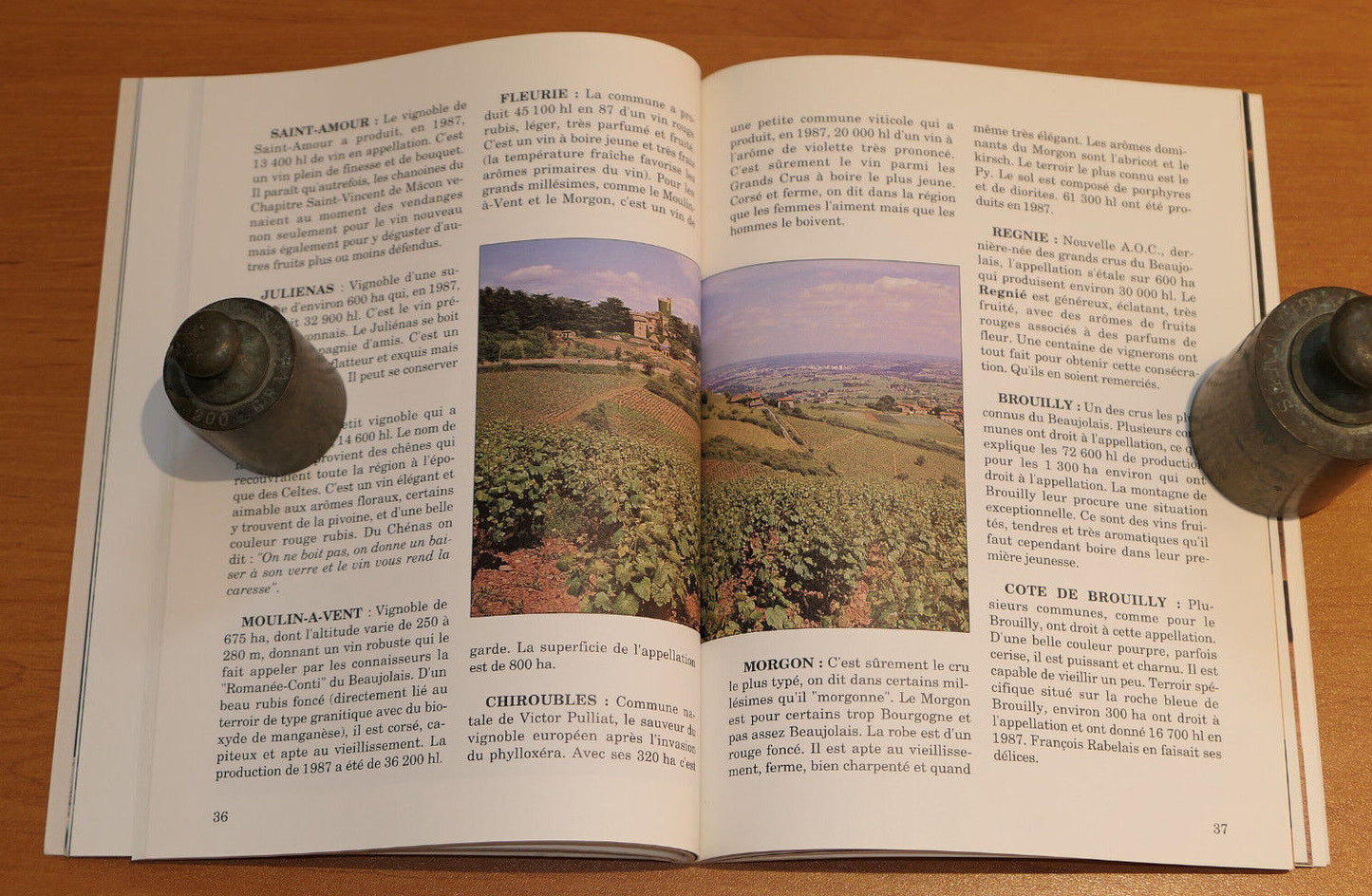 LE BOURGOGNE / VINS DE FRANCE / OENOLOGIE VIN / 1990