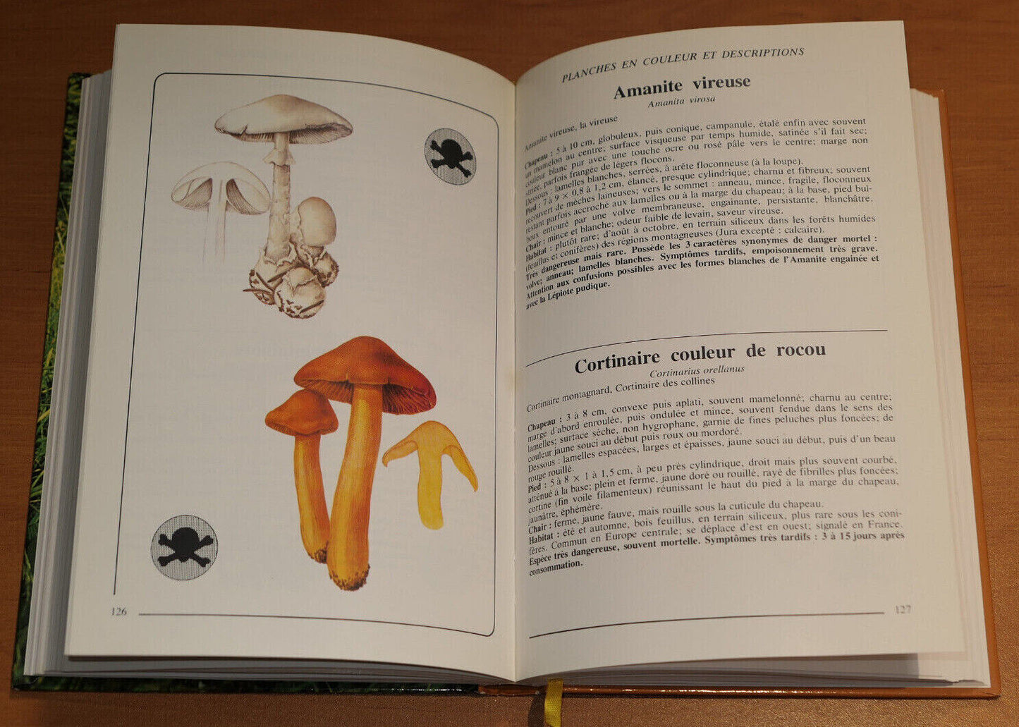 60 CHAMPIGNONS 190 RECETTES / RUSTICA DARGAUD 1990 / CUISINE GUIDE MYCOLOGIE