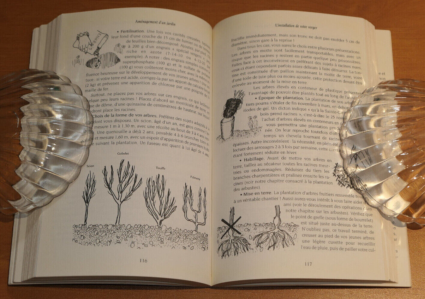 AMENAGEMENT D'UN JARDIN MASSIFS D'AGREMENT FRUITIER POTAGER / MICHEL CARON 2000
