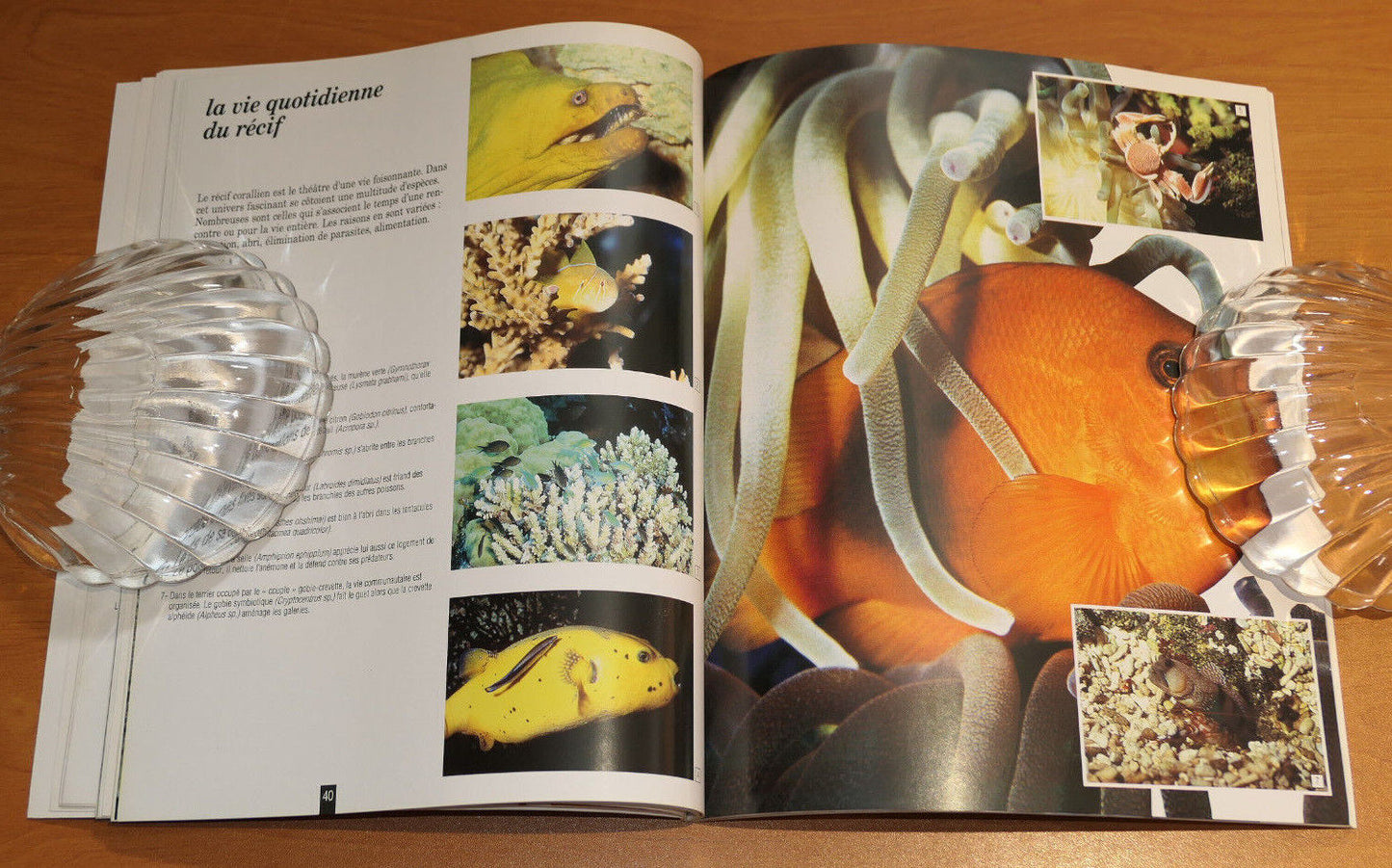 GUIDE DU MUSEE OCEANOGRAPHIQUE MONACO / 1999 / VOYAGE MER MARINE PHOTOS