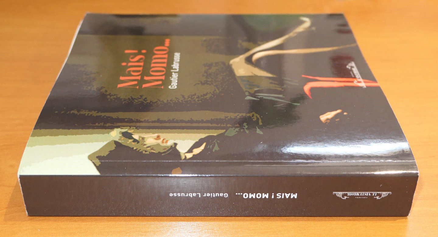 MAIS ! MOMO... / GAUTIER LABRUSSE / EDITIONS LE VISTEMBOIR 2015