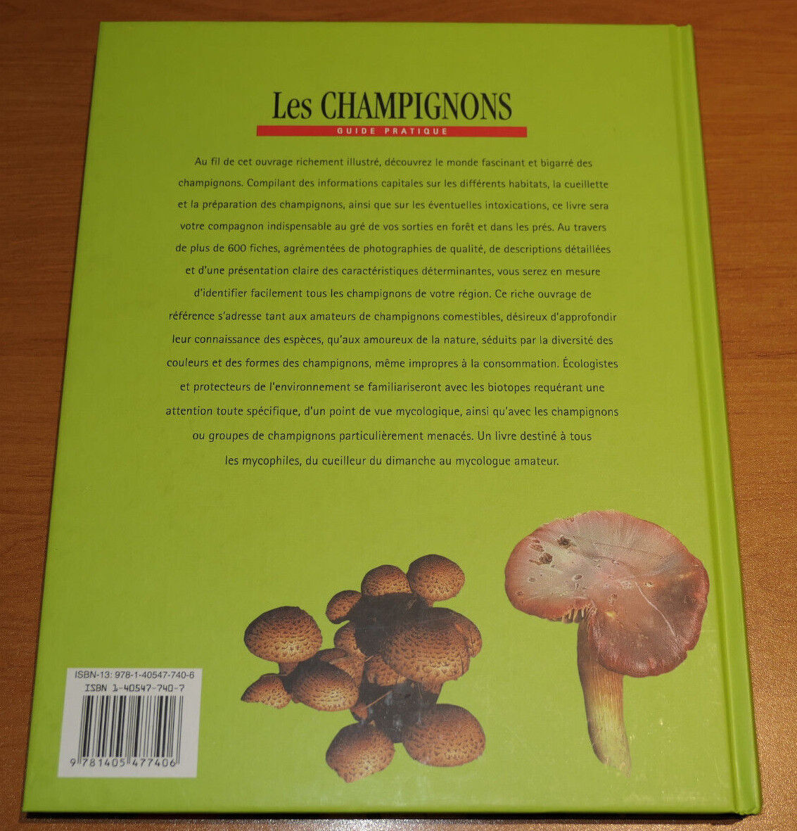 LES CHAMPIGNONS / GUIDE PRATIQUE CUEILLETTE PHOTOS ESPECES NATURE MYCOLOGIE 2006