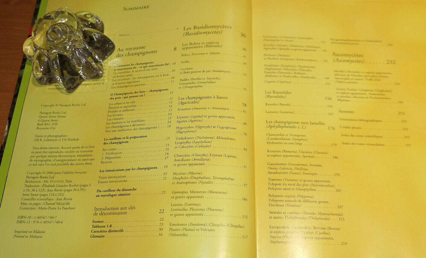 LES CHAMPIGNONS / GUIDE PRATIQUE CUEILLETTE PHOTOS ESPECES NATURE MYCOLOGIE 2006