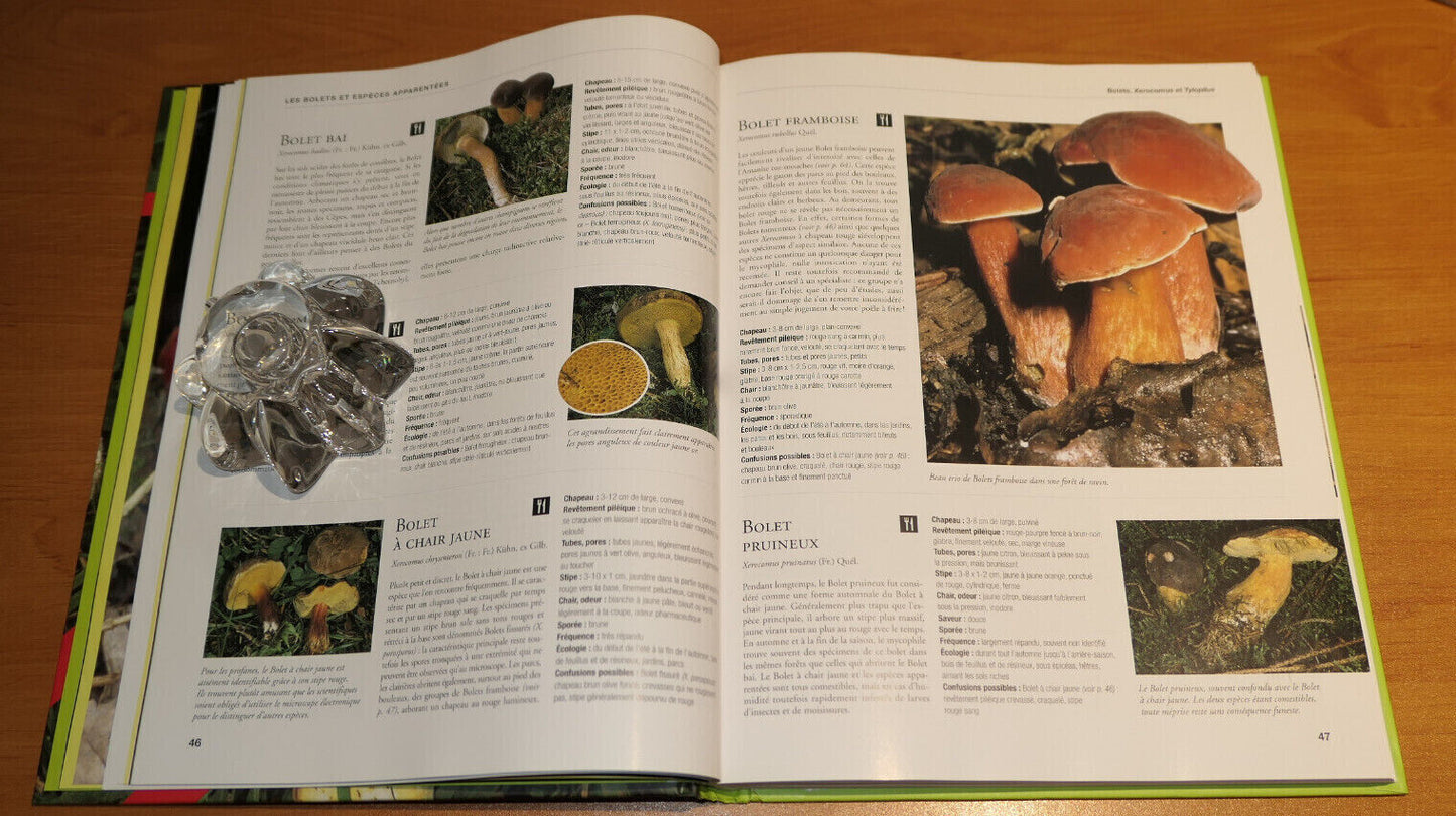 LES CHAMPIGNONS / GUIDE PRATIQUE CUEILLETTE PHOTOS ESPECES NATURE MYCOLOGIE 2006