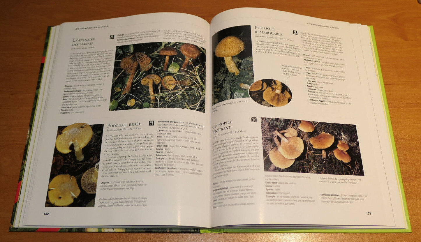 LES CHAMPIGNONS / GUIDE PRATIQUE CUEILLETTE PHOTOS ESPECES NATURE MYCOLOGIE 2006